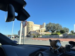 206-11-01-2026 IMG_3403